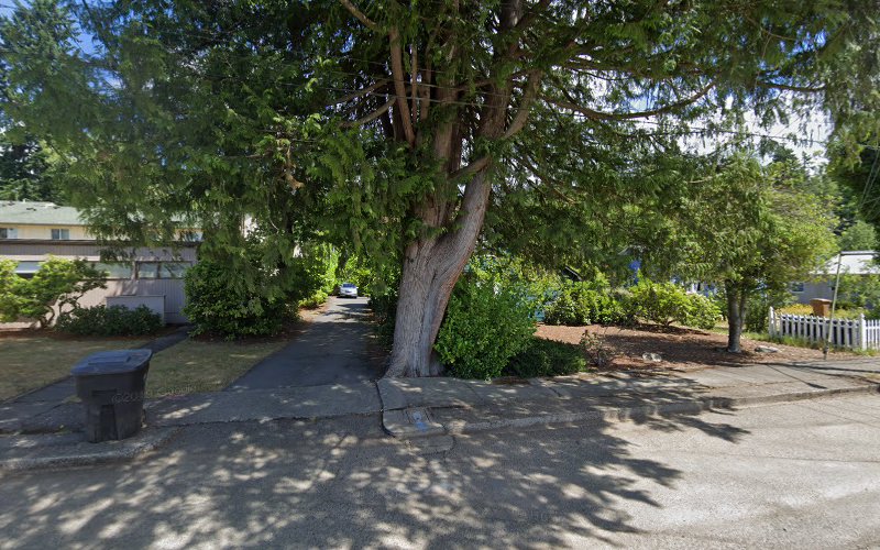 100068 birch street law pllc
