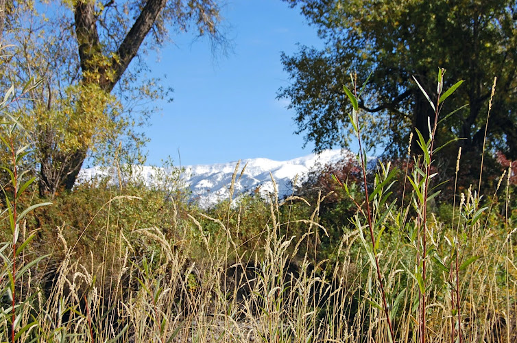 Feature image