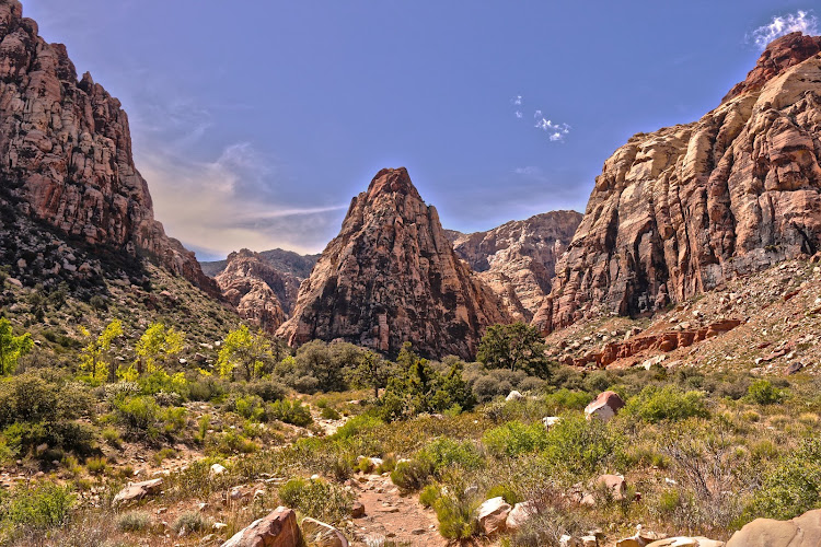 Feature image