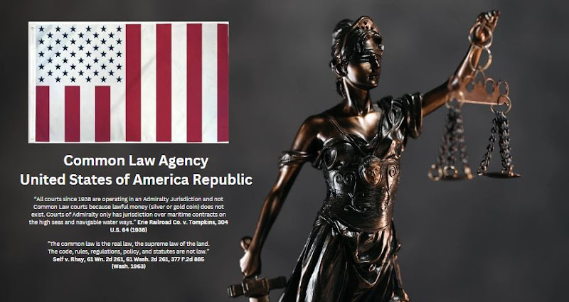 132358 common law agency