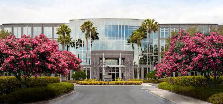133561 conte mollenhauer law firm