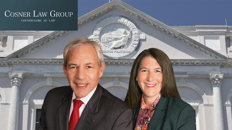135421 cosner law group