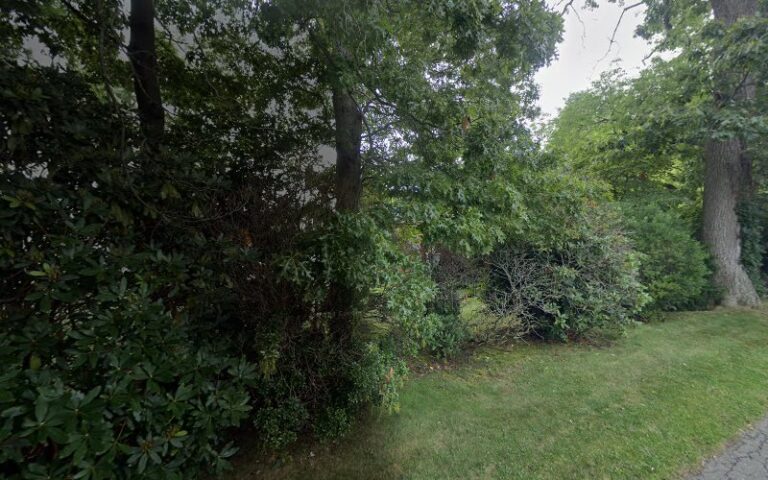 Feature image