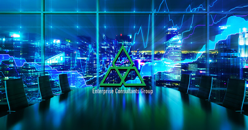 165586 enterprise consultants group