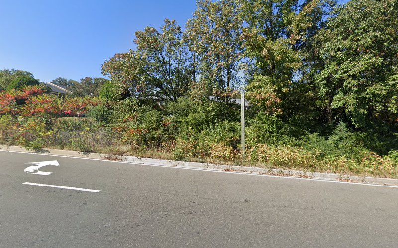 175546 folstein kenneth b