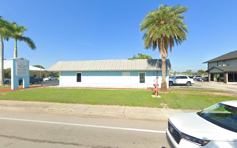 202587 hayes valencia