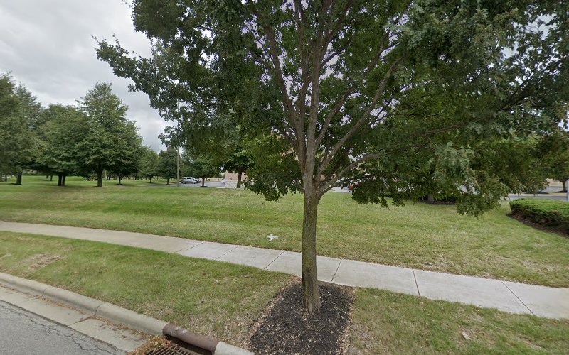 206160 hickman lowder co. l.p.a