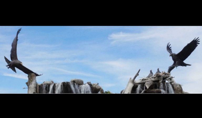 Feature image