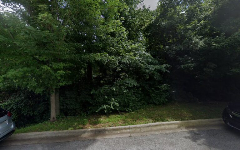 Feature image