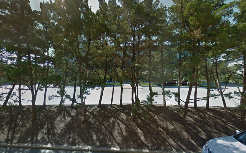 248829 kozeny mccubbin l.c