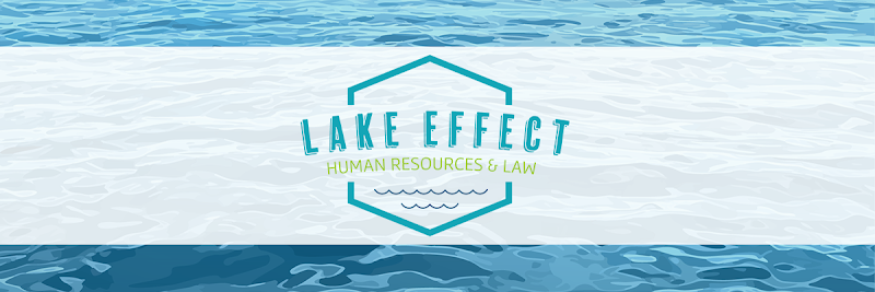 252032 lake effect hr law llc