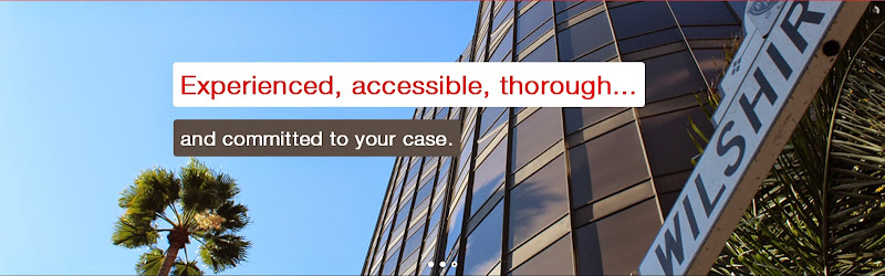 255420 law advocate group llp