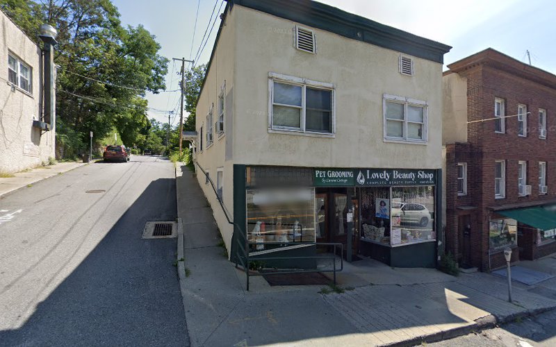 256848 law office of andrew falk