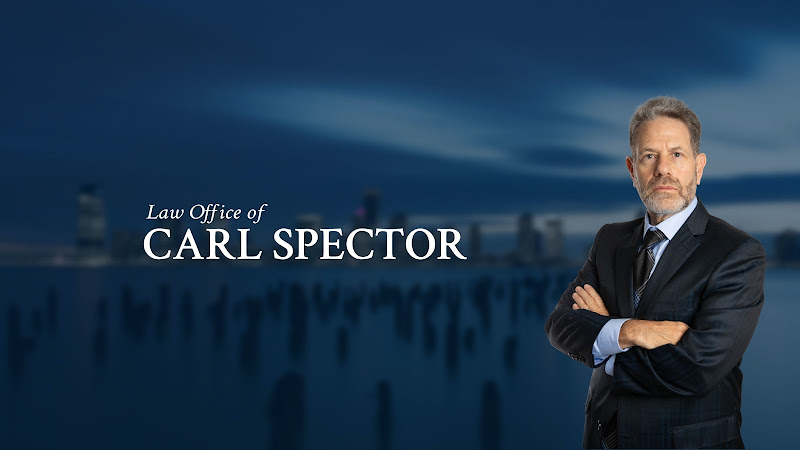 258146 law office of carl spector