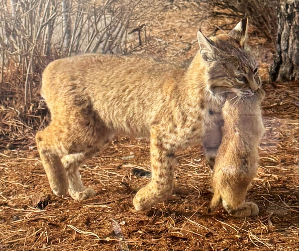 Feature image