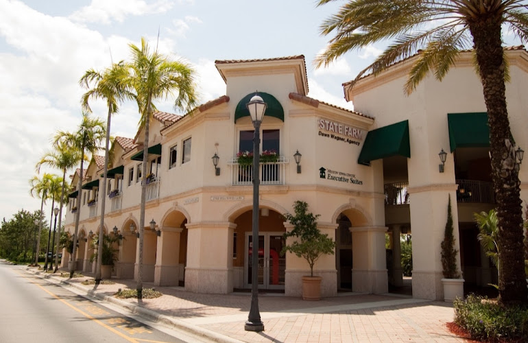 259156 law office of dana setnor metzger pllc