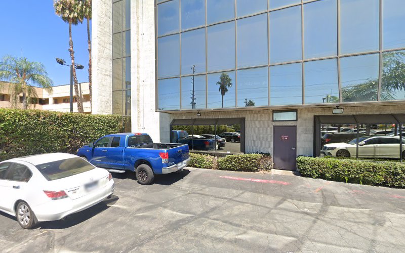 264197 law office of julia cantu chimarusti
