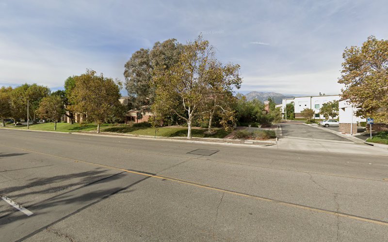 275044 law offices of dan peelman pc