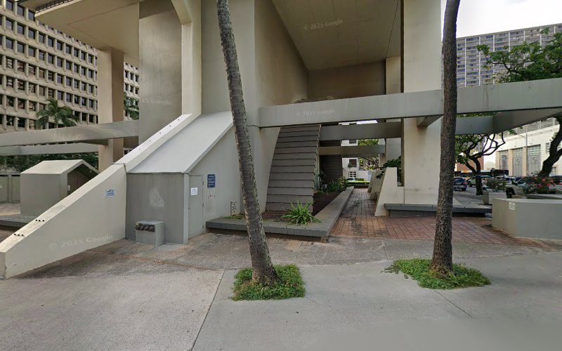 275538 law offices of david f. day