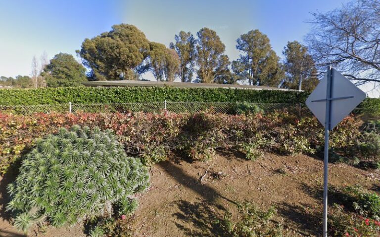 Feature image
