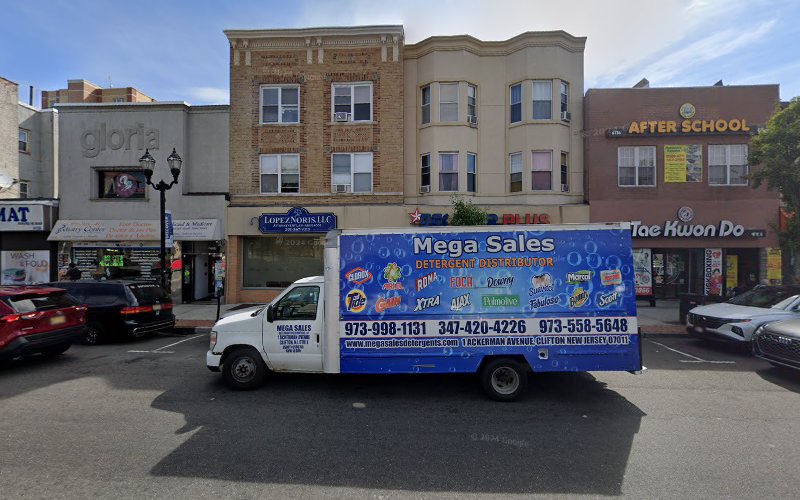 280506 law offices of lopez noris llc