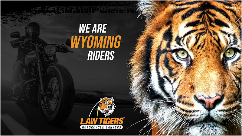 285863 law tigers