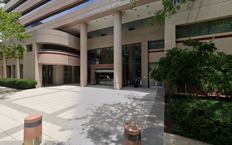 291205 levy and associates inc