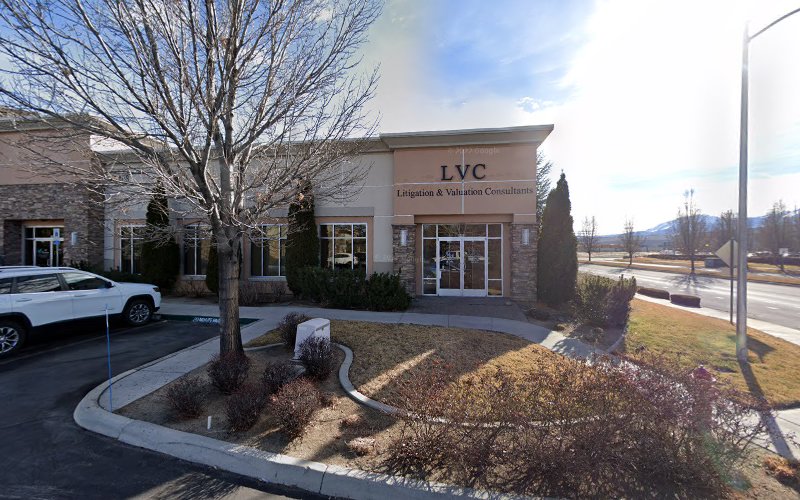 294027 litigation valuation consultants