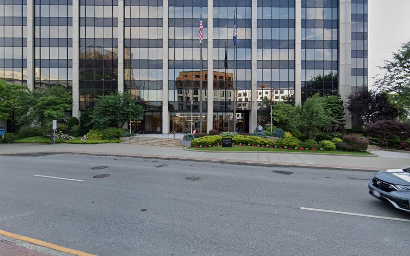 297093 lowey dannenberg p.c