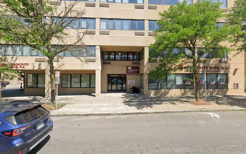 302597 marcus orkin tesi llp
