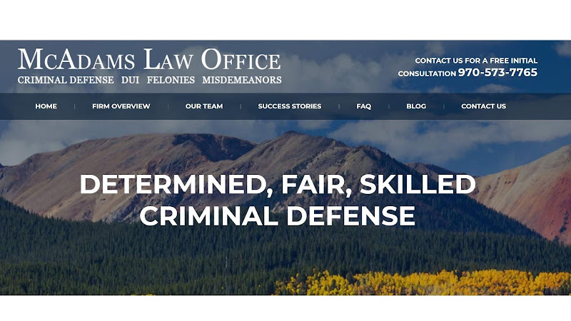 310950 mcadams law office llc