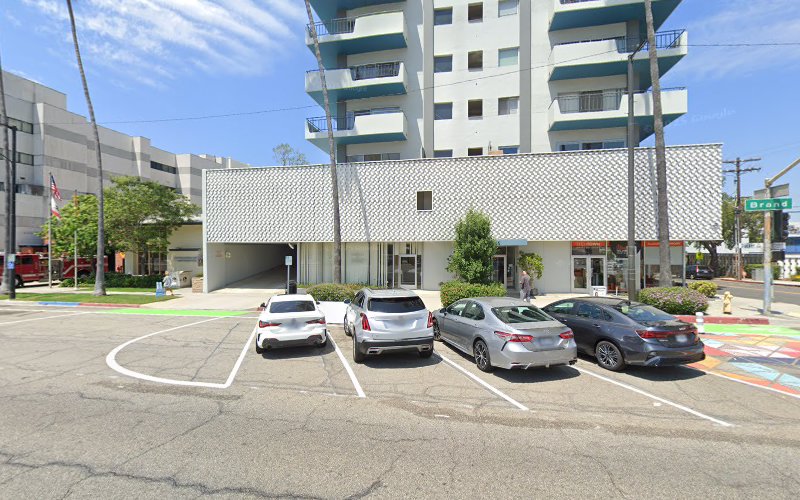 316217 meserkhani bagramian law office