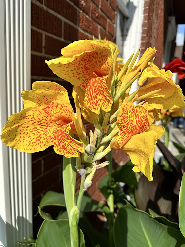 Feature image