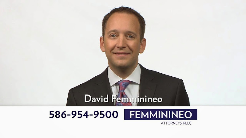 320282 michigan lawyer help