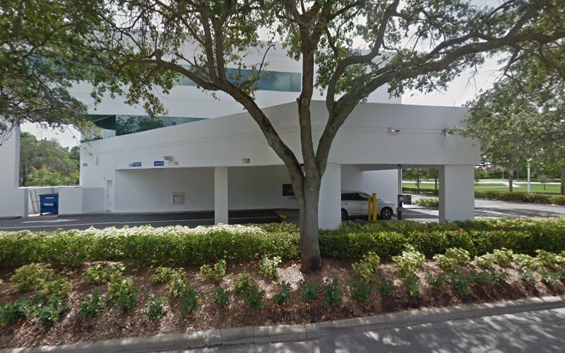323404 mitrani rynor adamsky toland p.a