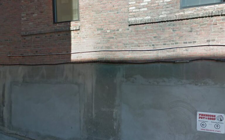 Feature image