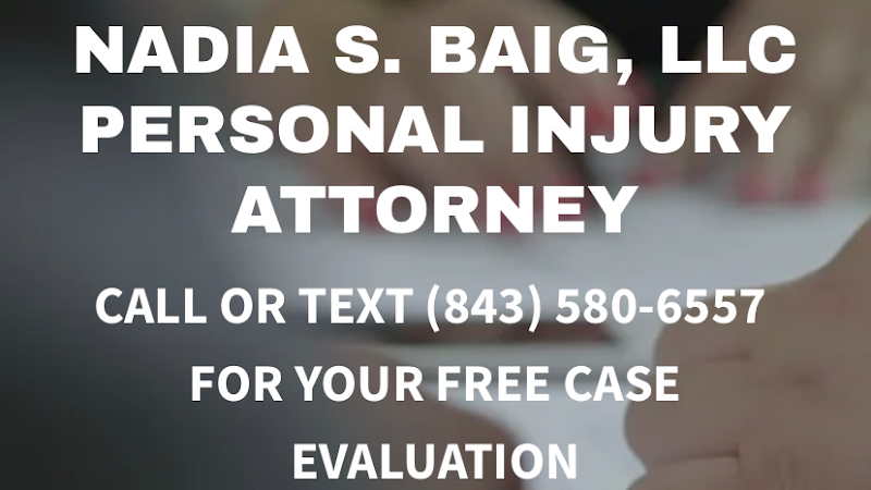 330202 nadia s. baig llc