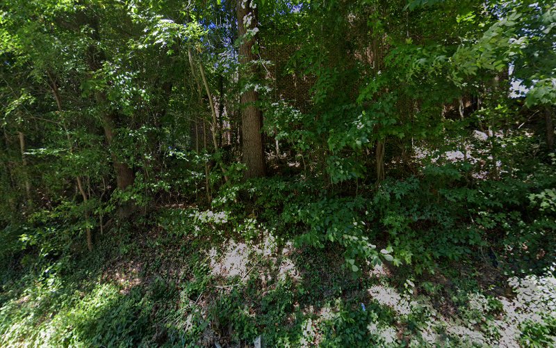 331948 neely lanier pllc