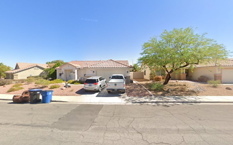 332894 nevada real estate expert witness