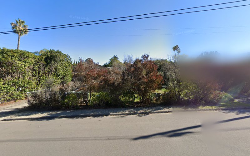 344023 partners tax 8211 vista