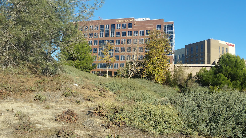 348384 perkins coie llp