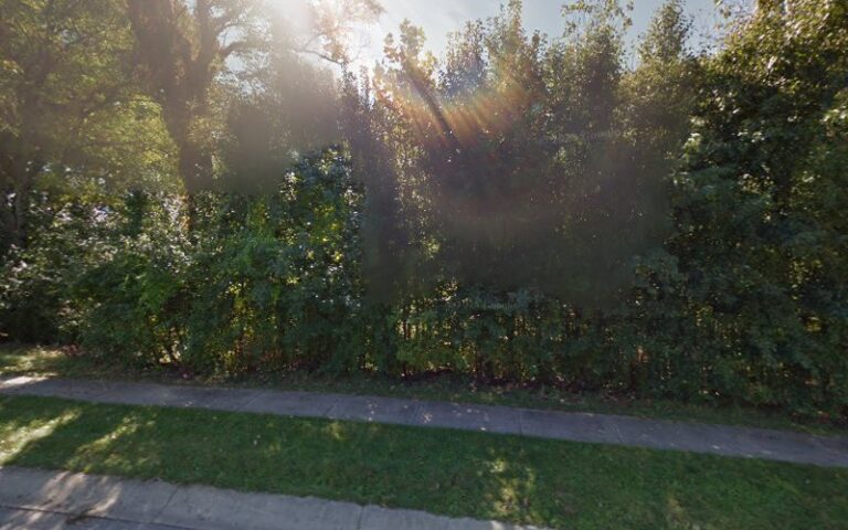 Feature image