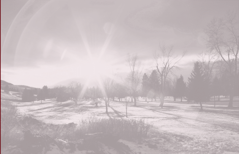 Feature image