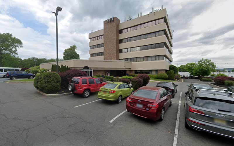 366253 ricki h berger law office