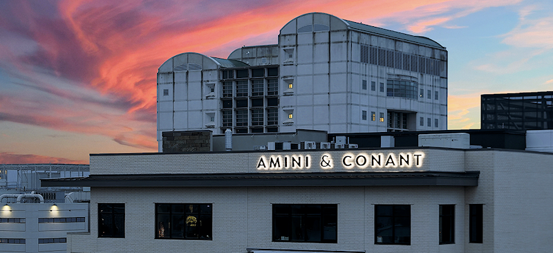 36851 amini conant llp