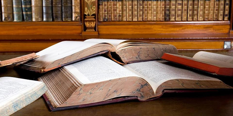 375167 rountree law