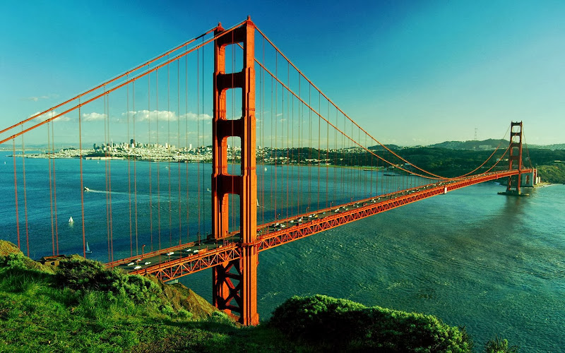 380422 sandra boogaard immigration law office