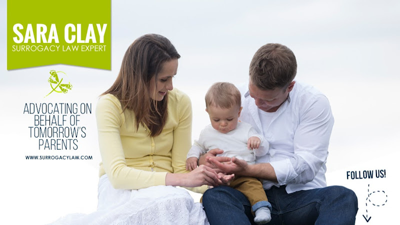 381049 sara m clay pc surrogacy law