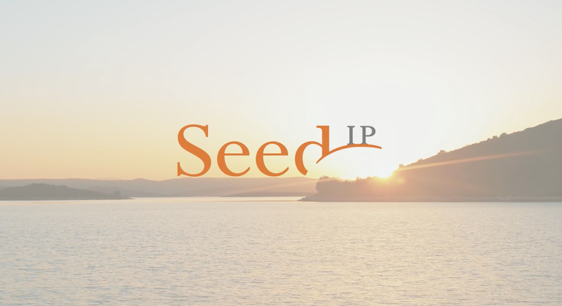 386295 seed intellectual property law group llp
