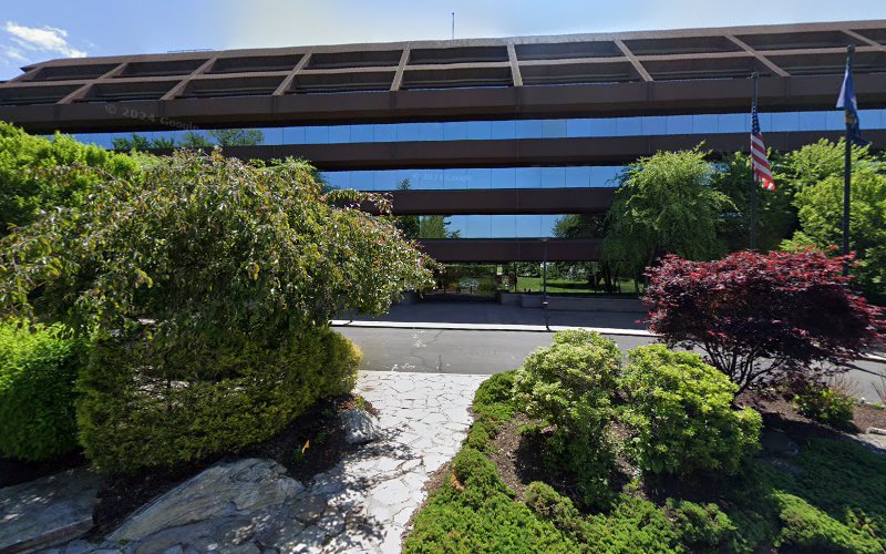 392124 silverberg zalantis llc